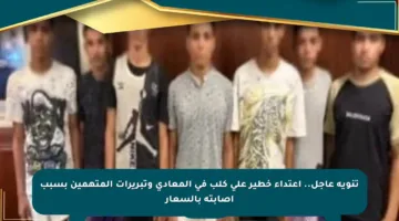 تنويه عاجل.. اعتداء خطير على كلب في المعادي وتبريرات المتهمين بسبب إصابته بالسعار